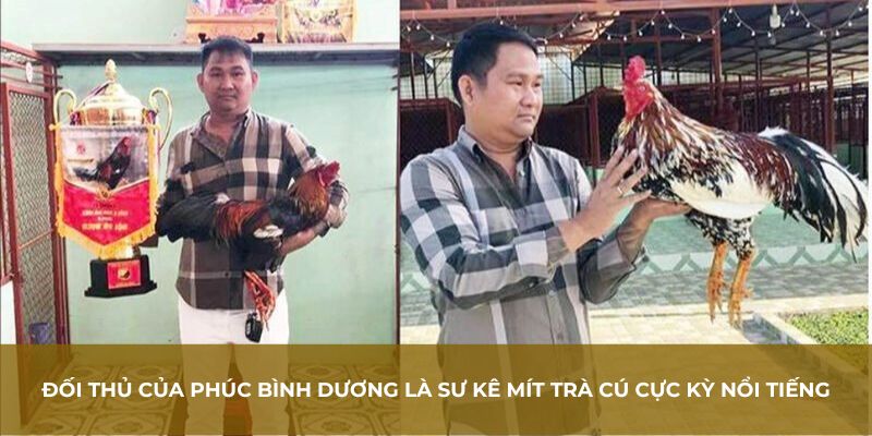 Đối thủ của Phúc Bình Dương là sư kê Mít Trà Cú cực kỳ nổi tiếng
